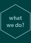 What We Do